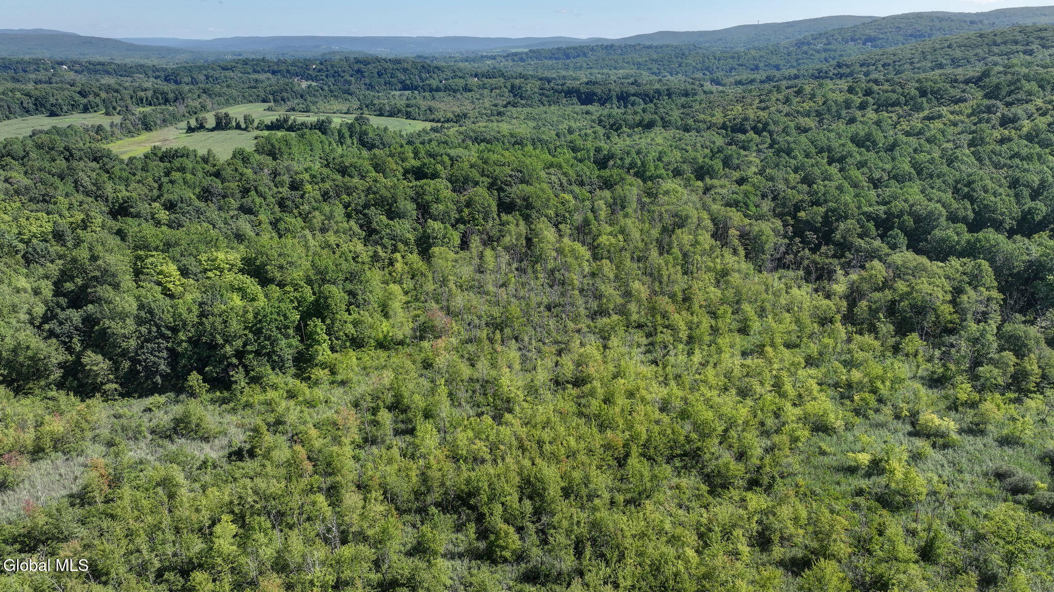 L01 Fox Hollow Lane Hopewell Junction NY 12533