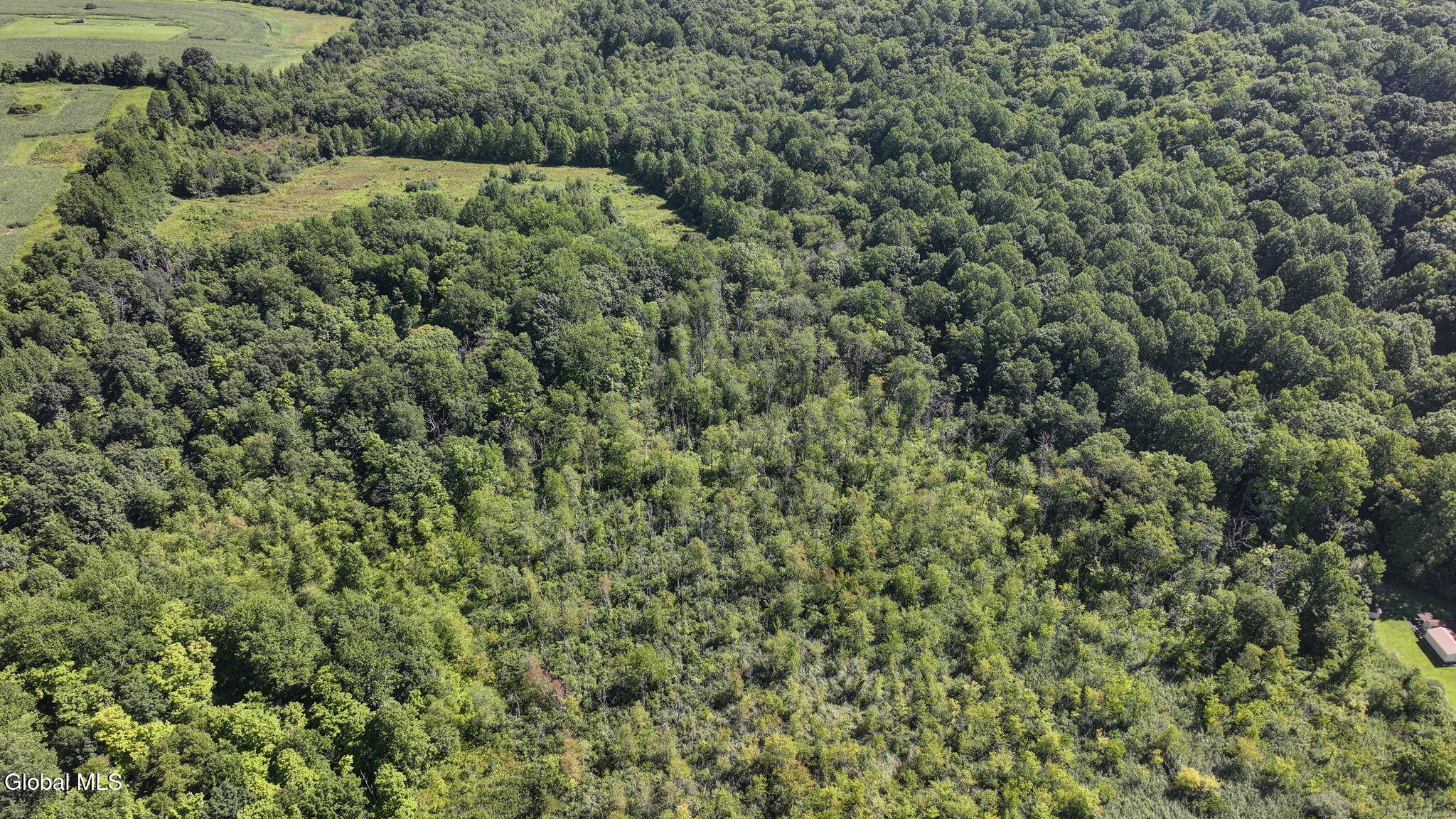 L01 Fox Hollow Lane Hopewell Junction NY 12533