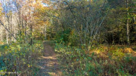 L122 Dimmick Road Gansevoort NY 12831