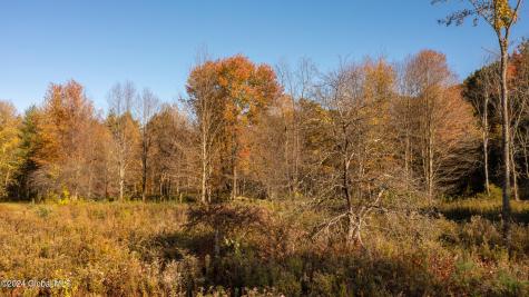 L122 Dimmick Road Gansevoort NY 12831