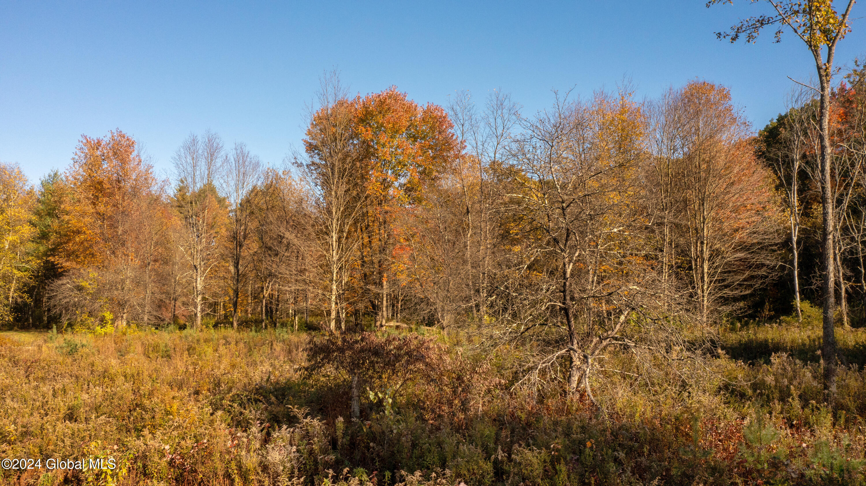 L122 Dimmick Road Gansevoort NY 12831