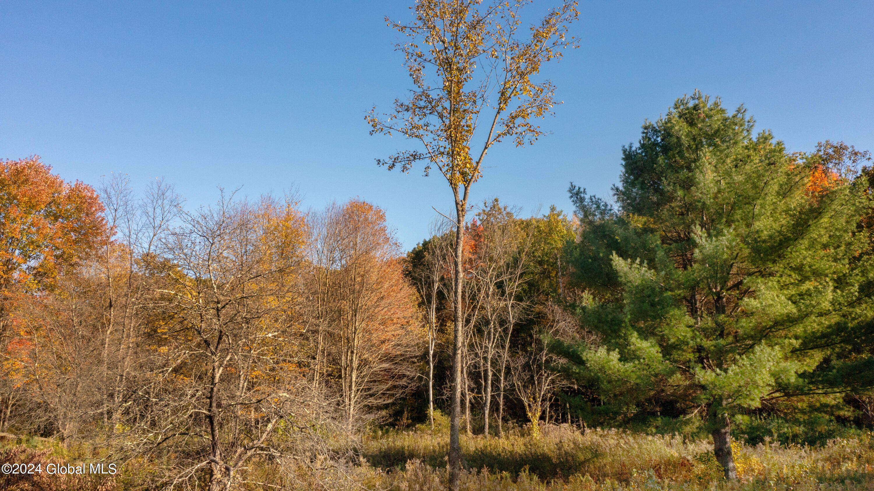L122 Dimmick Road Gansevoort NY 12831