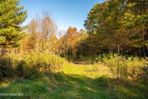 L122 Dimmick Road Gansevoort NY 12831