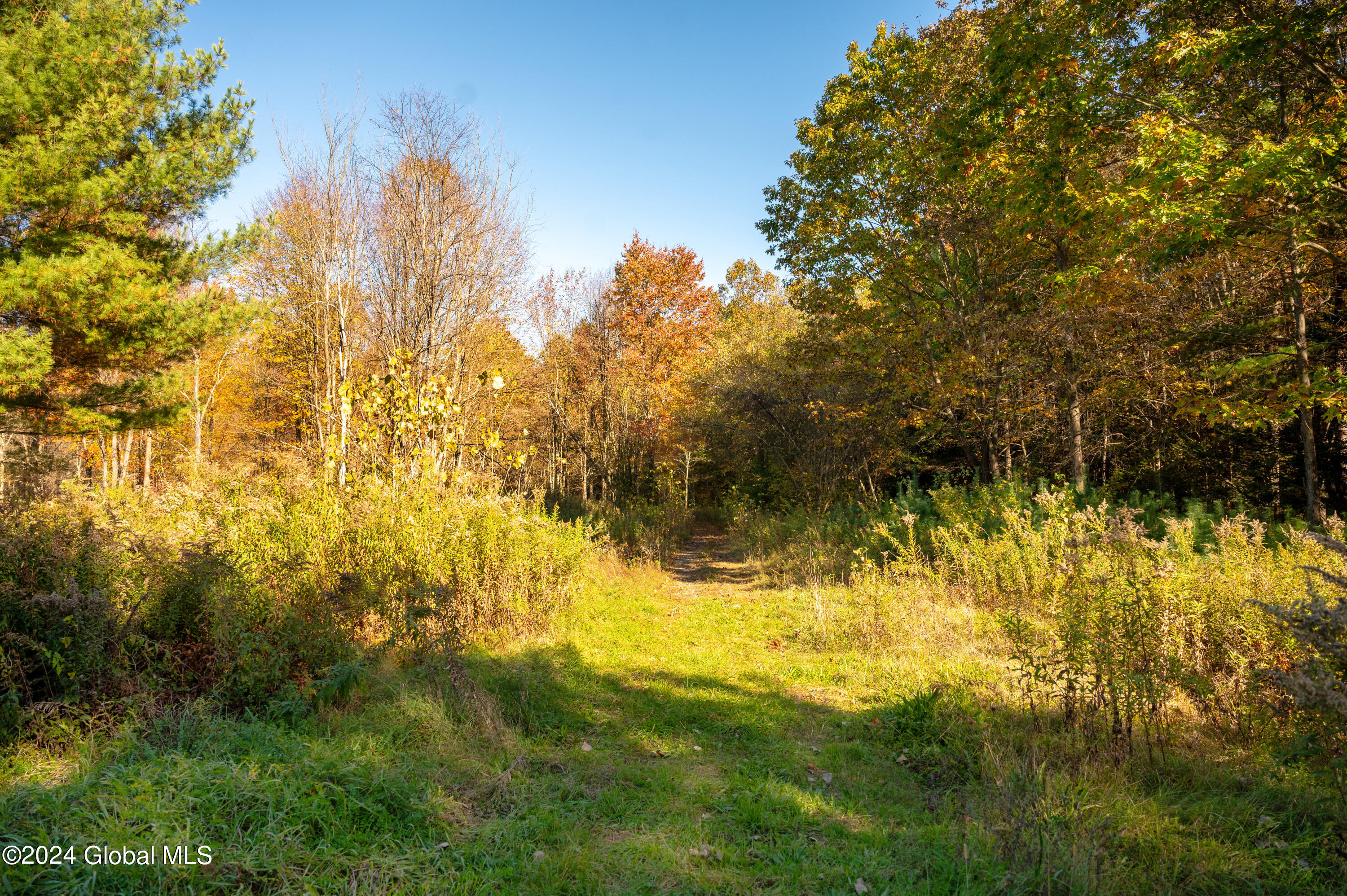 L122 Dimmick Road Gansevoort NY 12831