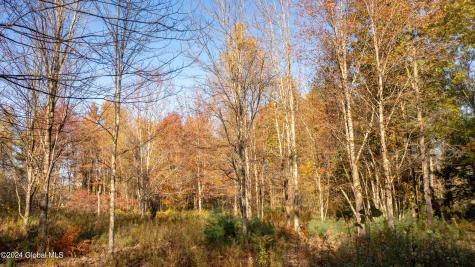 L122 Dimmick Road Gansevoort NY 12831