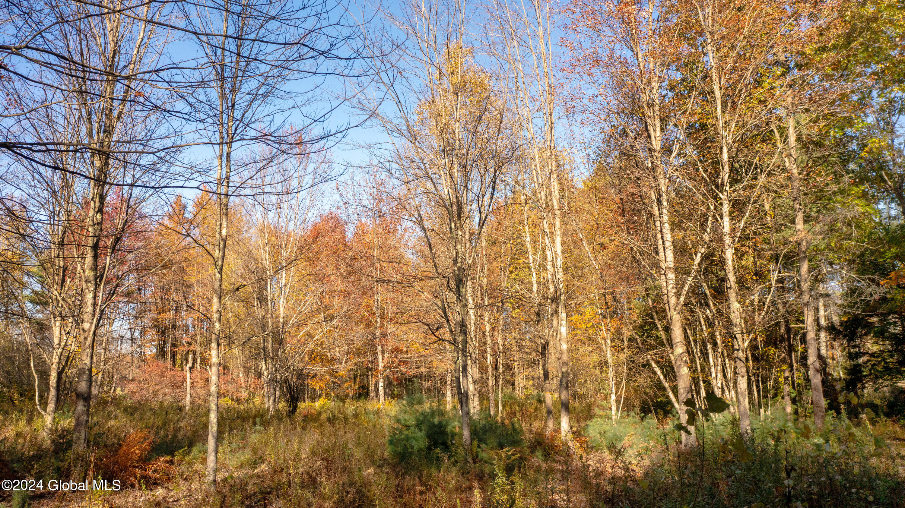 L122 Dimmick Road Gansevoort NY 12831
