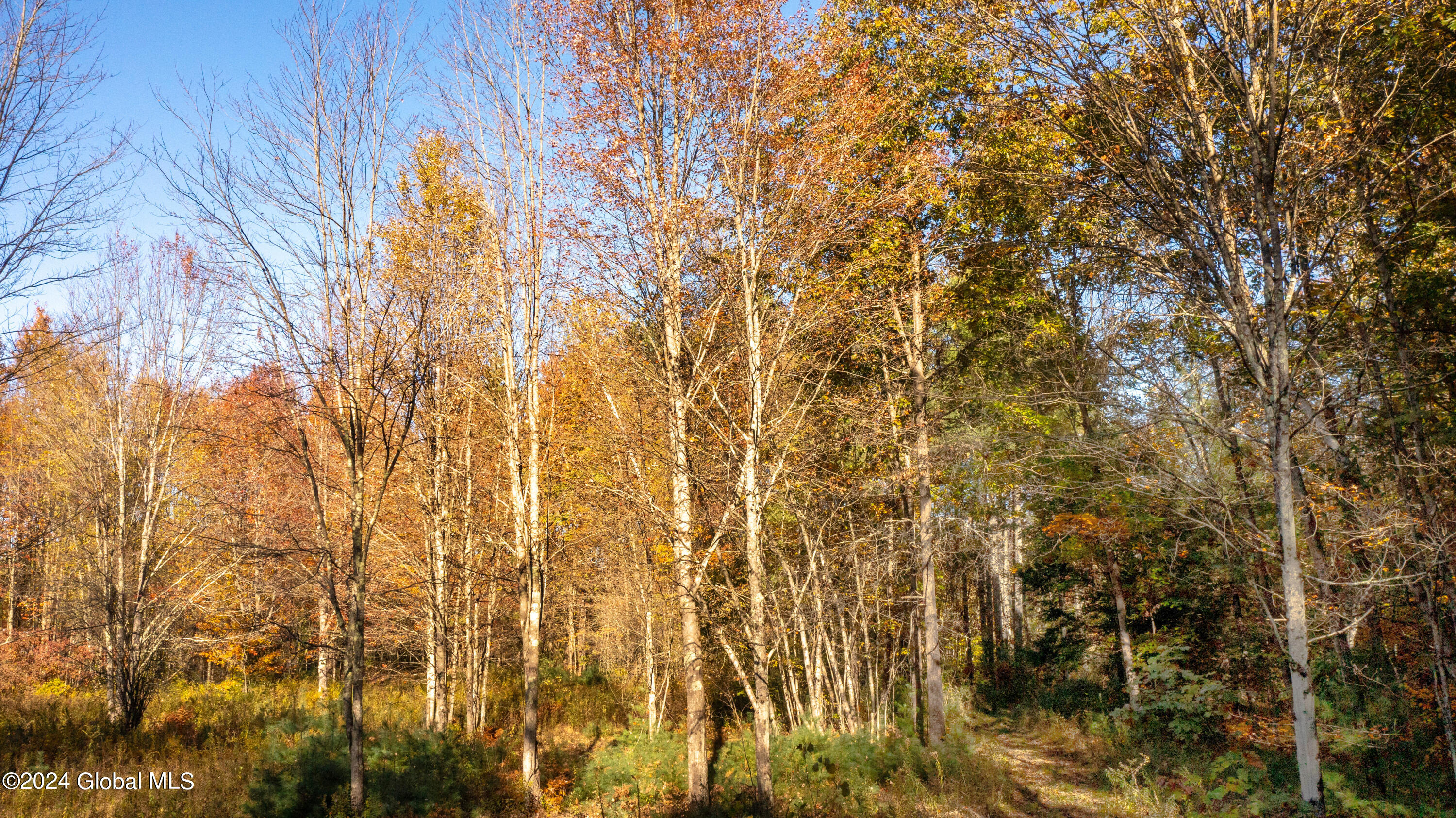 L122 Dimmick Road Gansevoort NY 12831