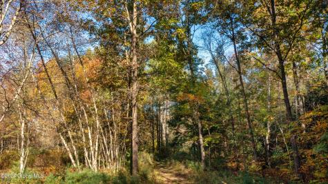 L122 Dimmick Road Gansevoort NY 12831