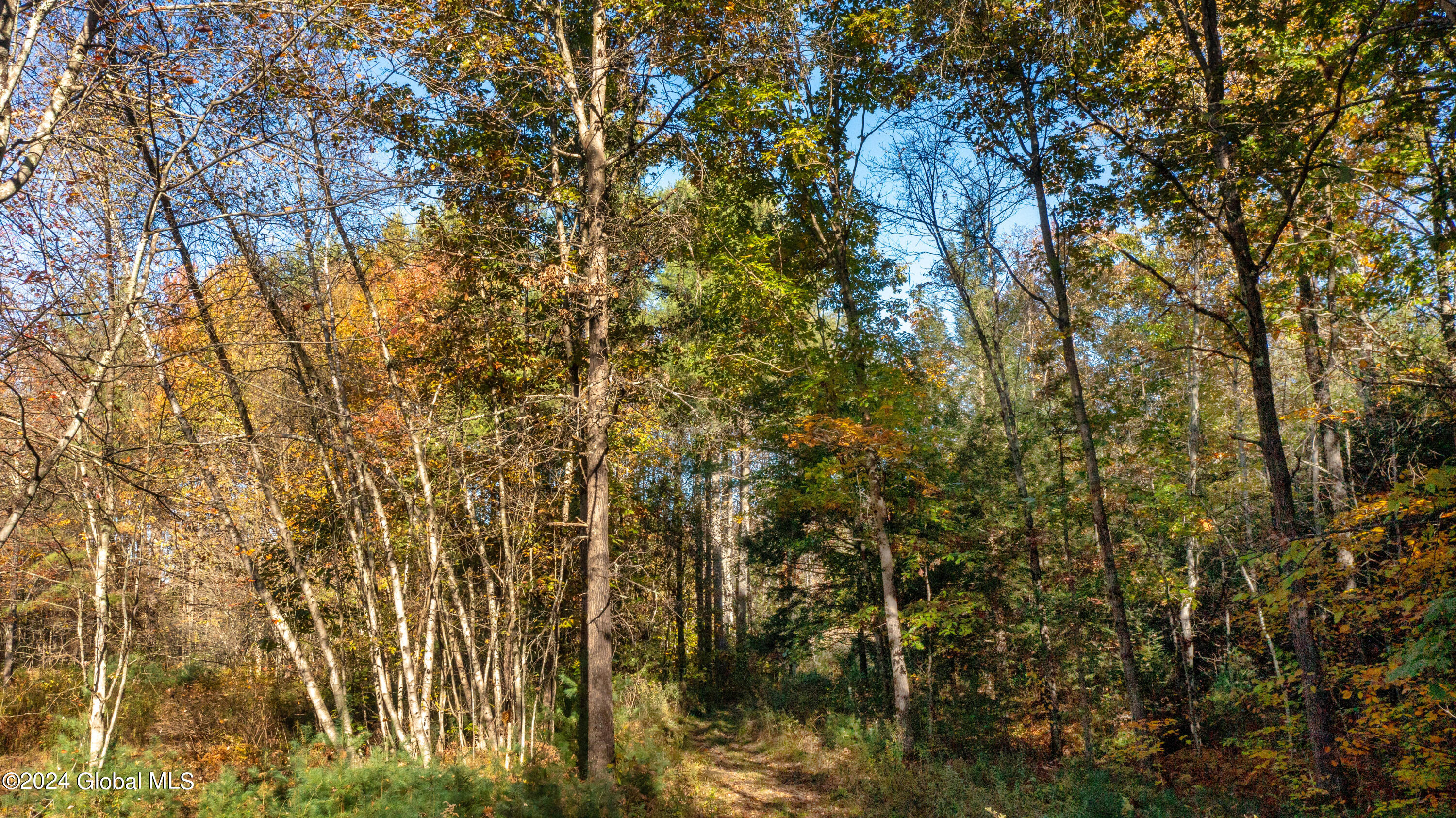 L122 Dimmick Road Gansevoort NY 12831