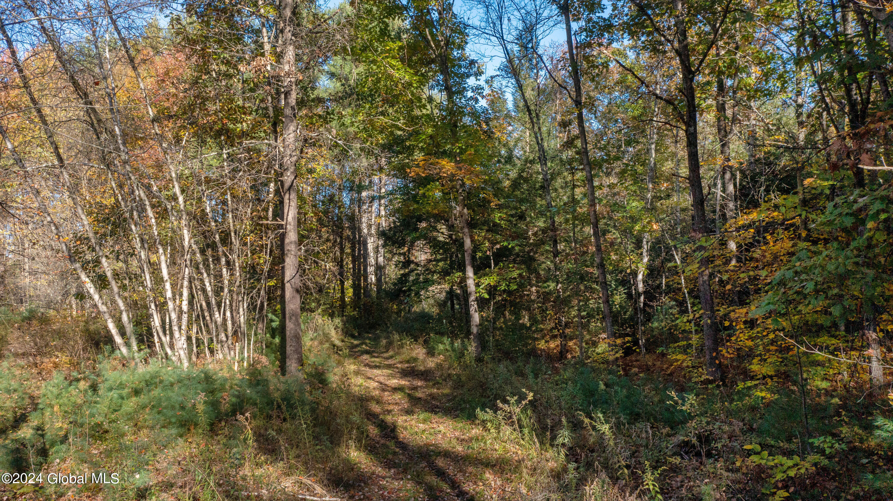 L122 Dimmick Road Gansevoort NY 12831