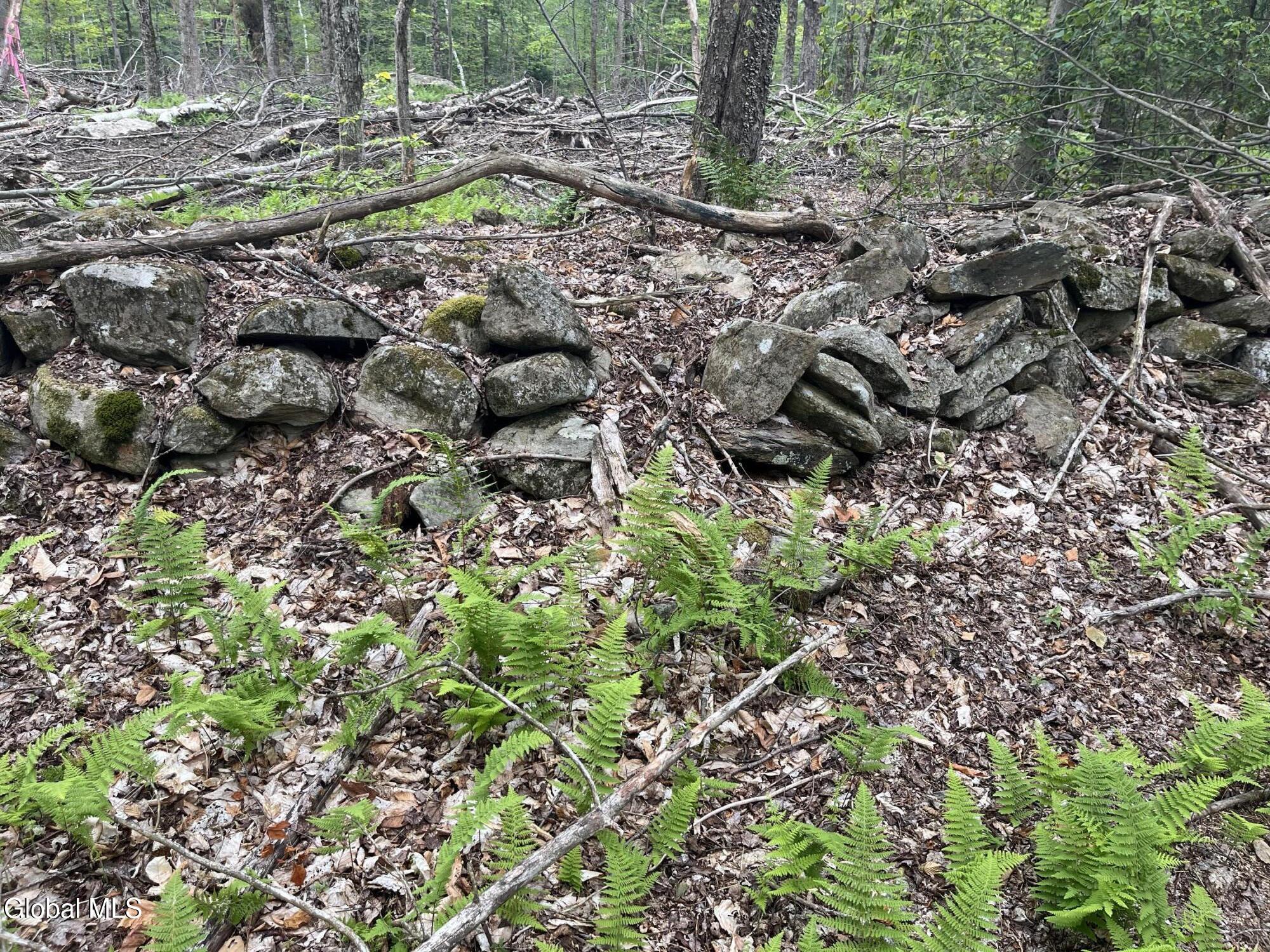 162 Crandall Road Petersburgh NY 12138