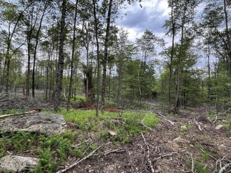 162 Crandall Road Petersburgh NY 12138