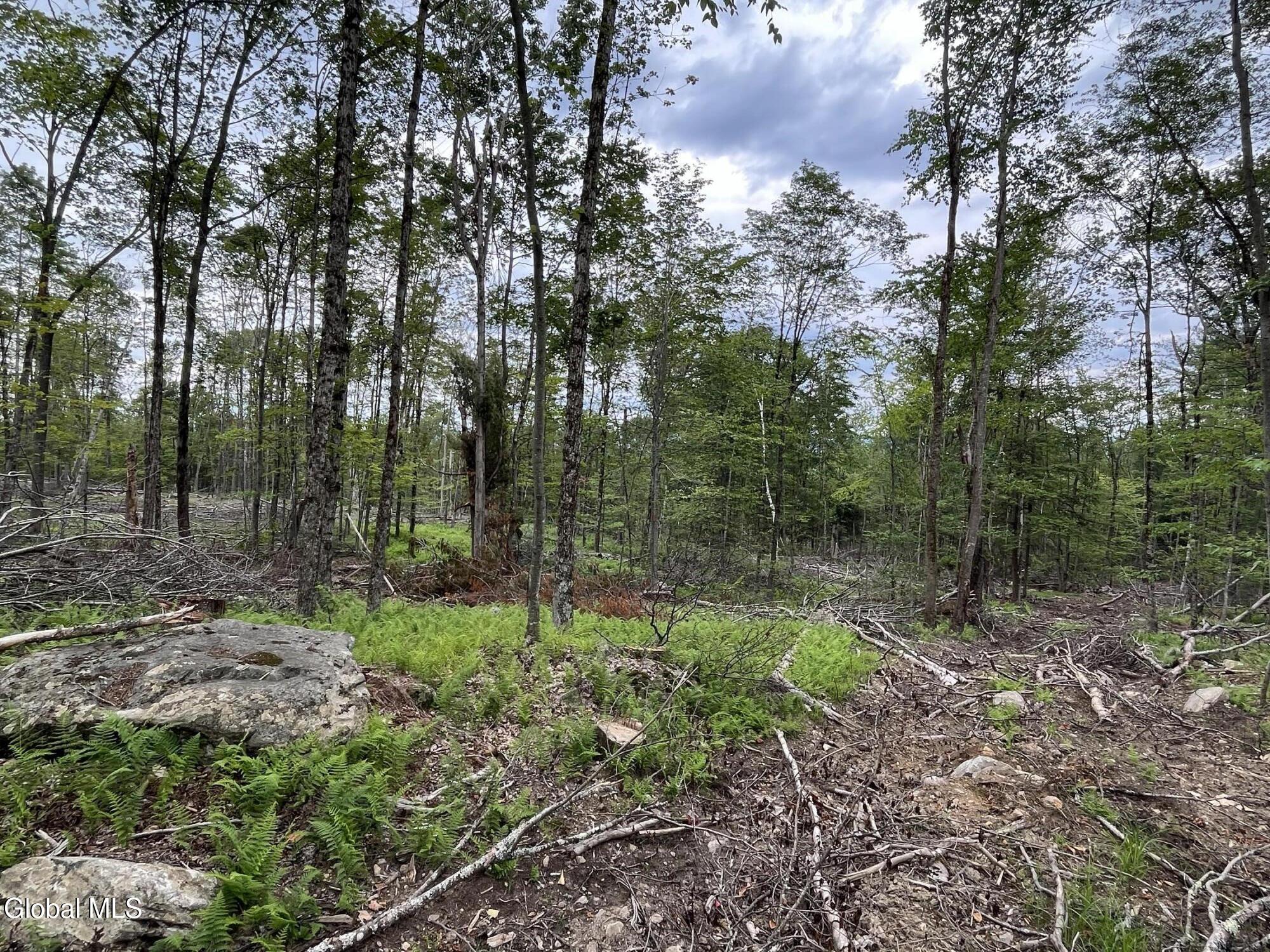 162 Crandall Road Petersburgh NY 12138