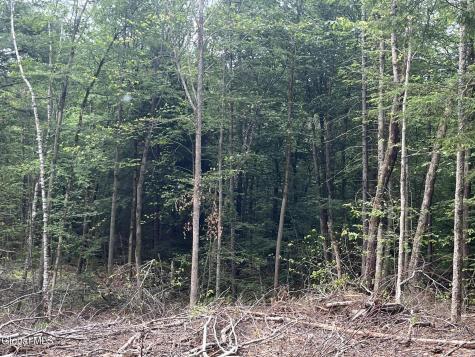 162 Crandall Road Petersburgh NY 12138