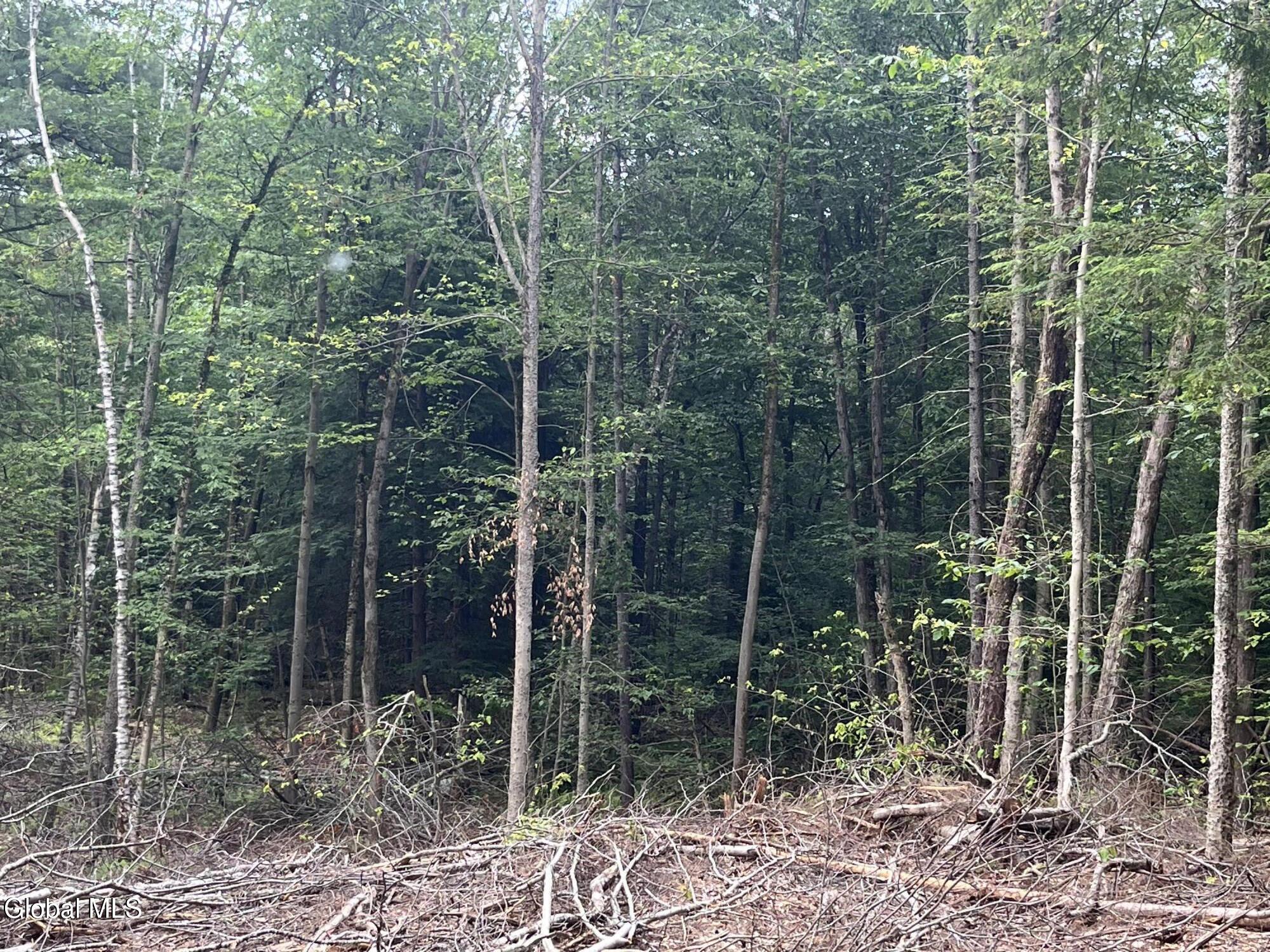 162 Crandall Road Petersburgh NY 12138