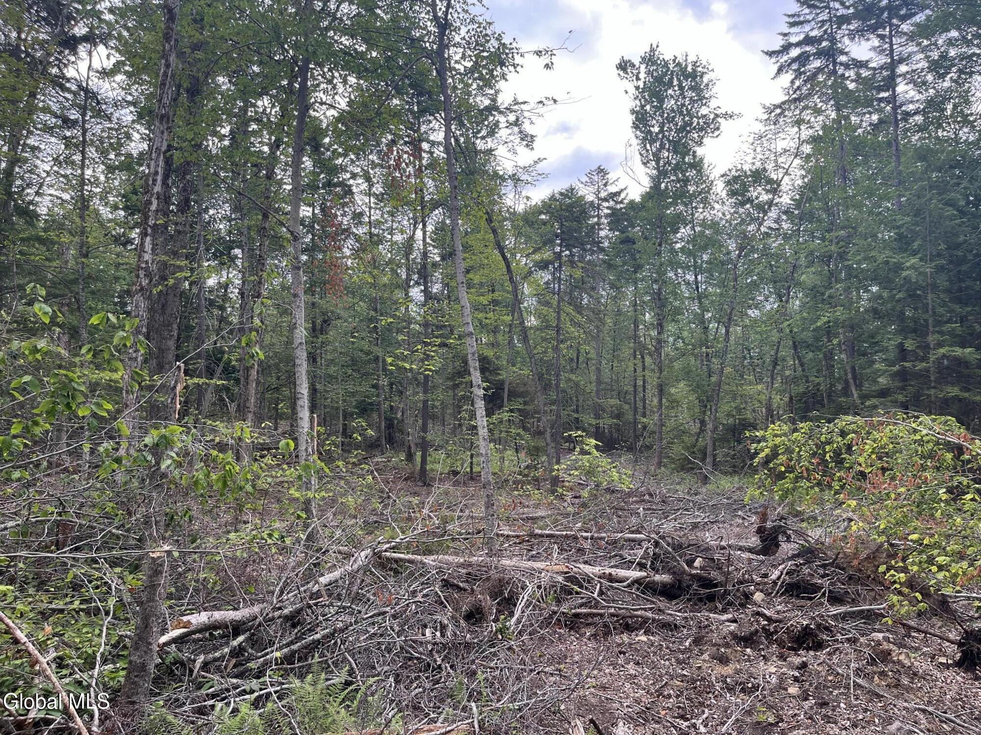162 Crandall Road Petersburgh NY 12138
