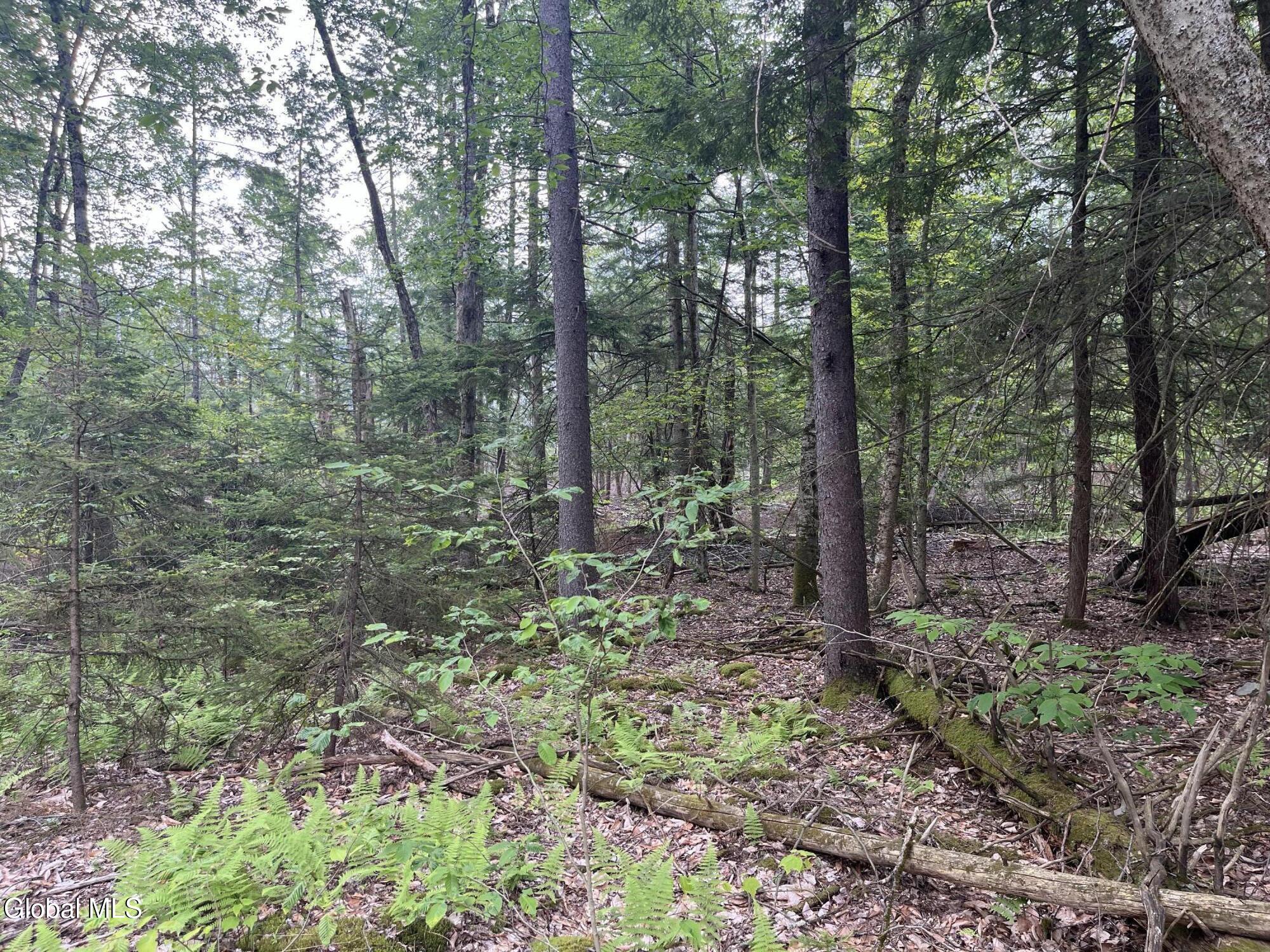 162 Crandall Road Petersburgh NY 12138