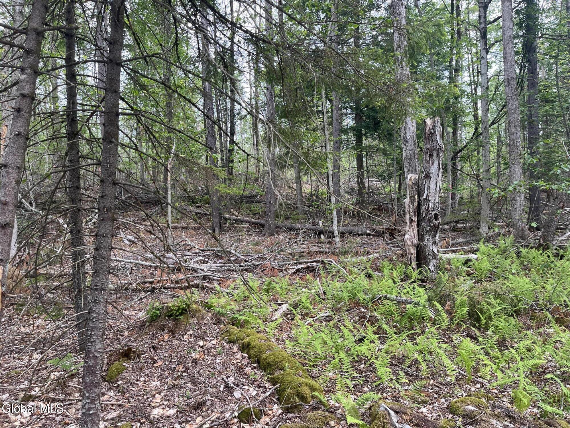162 Crandall Road Petersburgh NY 12138