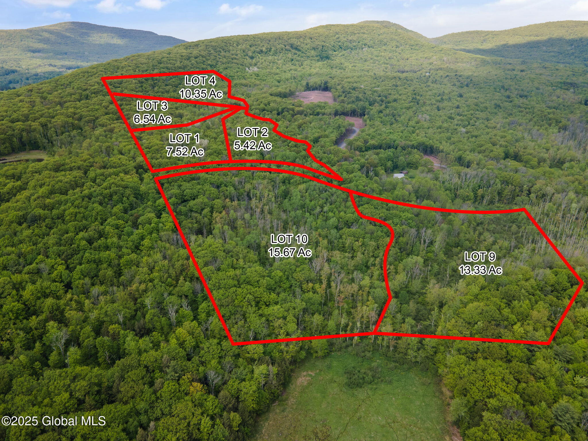 10 Galway Road Windham NY 12496