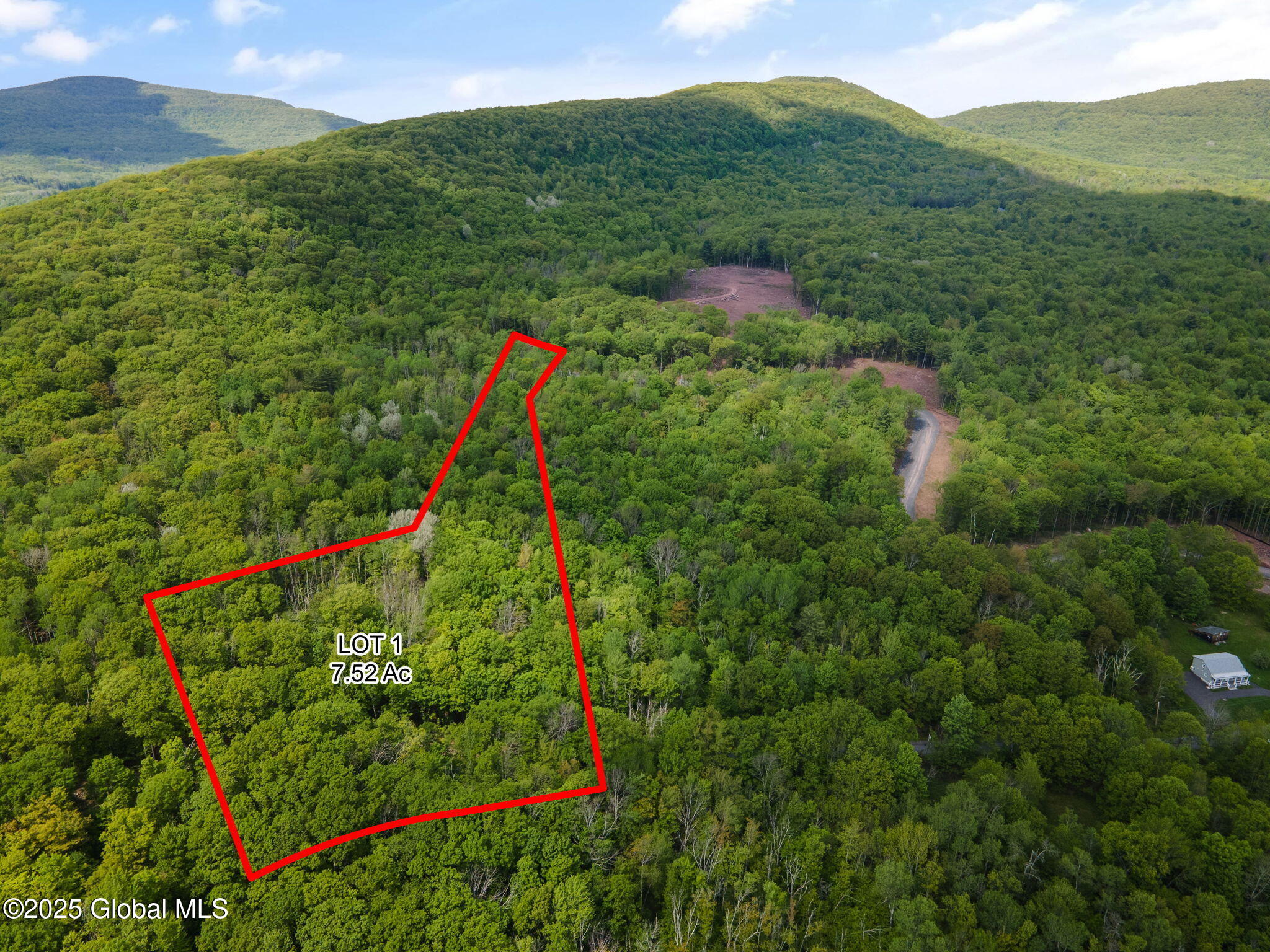 10 Galway Road Windham NY 12496