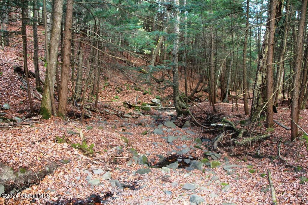 L2 Lawton Hollow Road Berne NY 12023