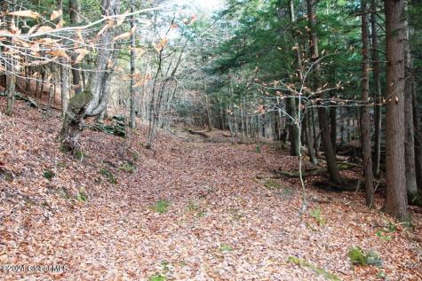 L2 Lawton Hollow Road Berne NY 12023
