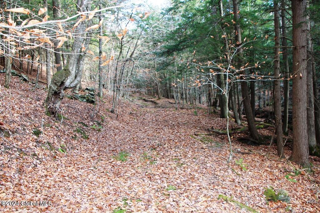 L2 Lawton Hollow Road Berne NY 12023
