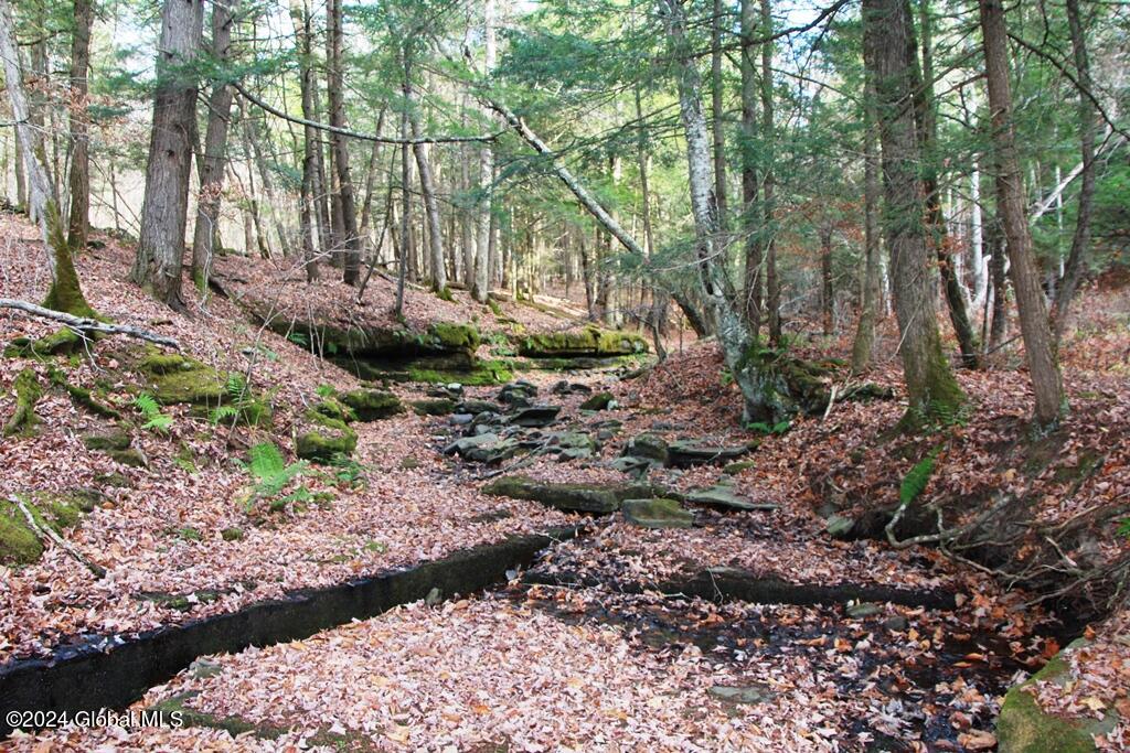 L2 Lawton Hollow Road Berne NY 12023