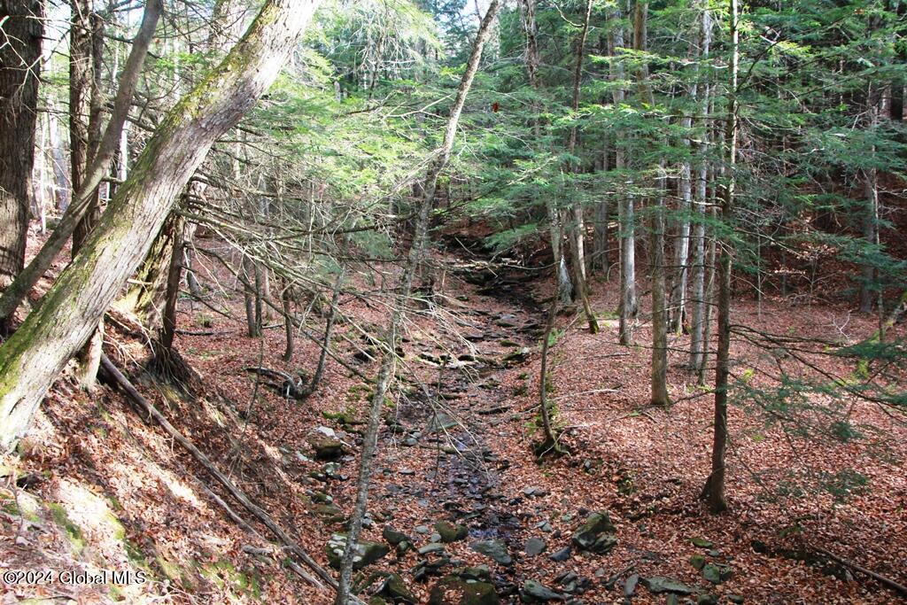 L2 Lawton Hollow Road Berne NY 12023