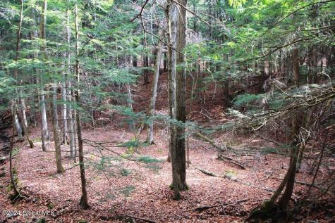 L2 Lawton Hollow Road Berne NY 12023