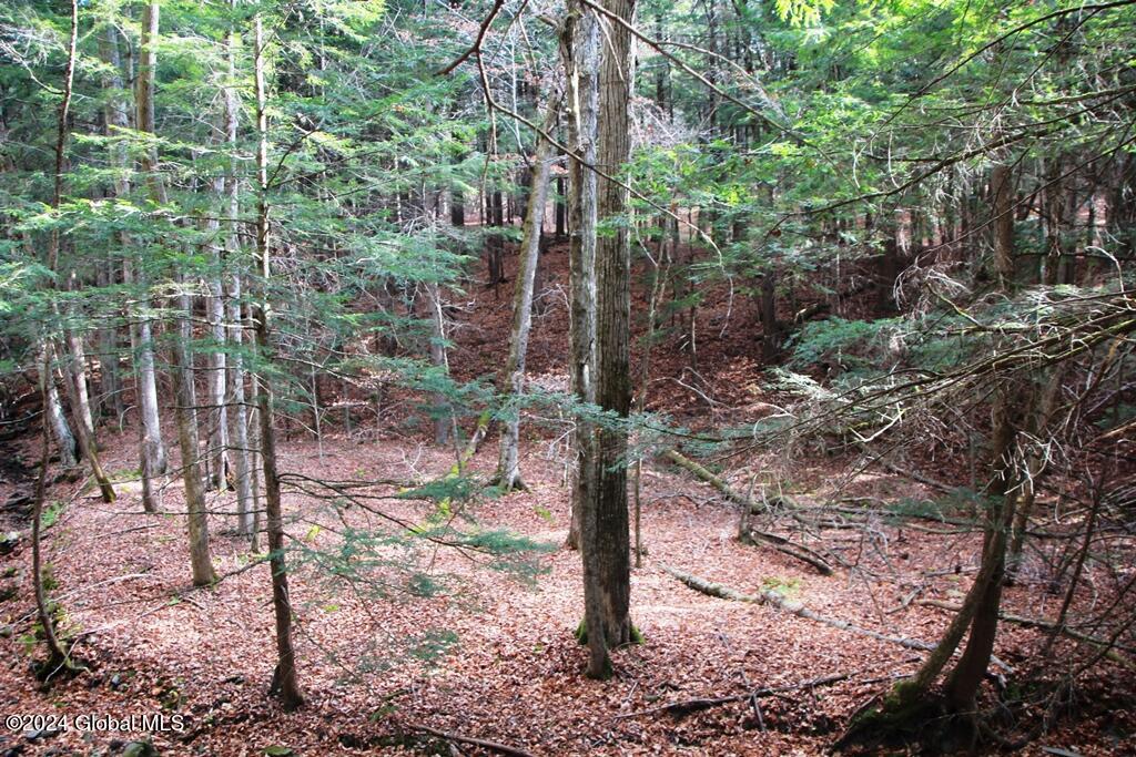 L2 Lawton Hollow Road Berne NY 12023