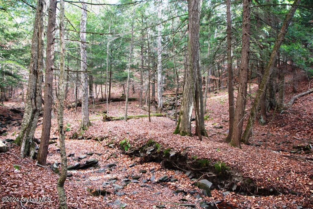 L2 Lawton Hollow Road Berne NY 12023