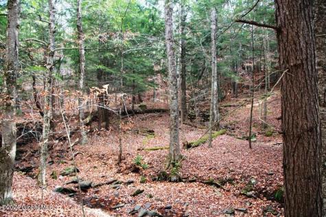 L2 Lawton Hollow Road Berne NY 12023