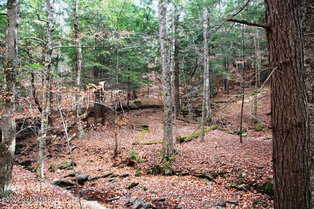 L2 Lawton Hollow Road Berne NY 12023