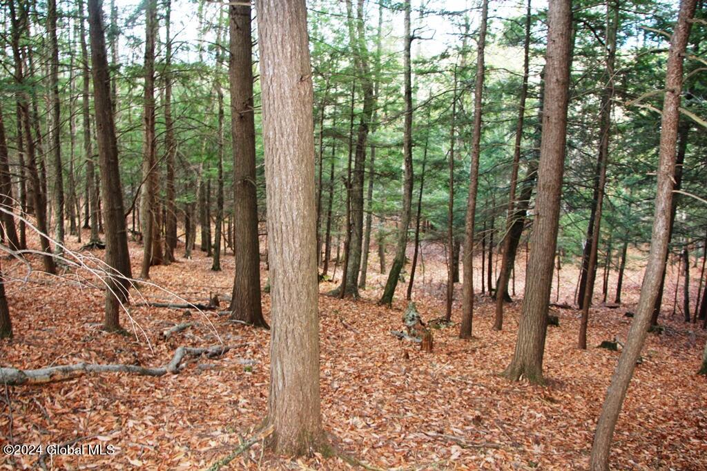 L2 Lawton Hollow Road Berne NY 12023