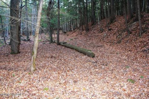 L2 Lawton Hollow Road Berne NY 12023