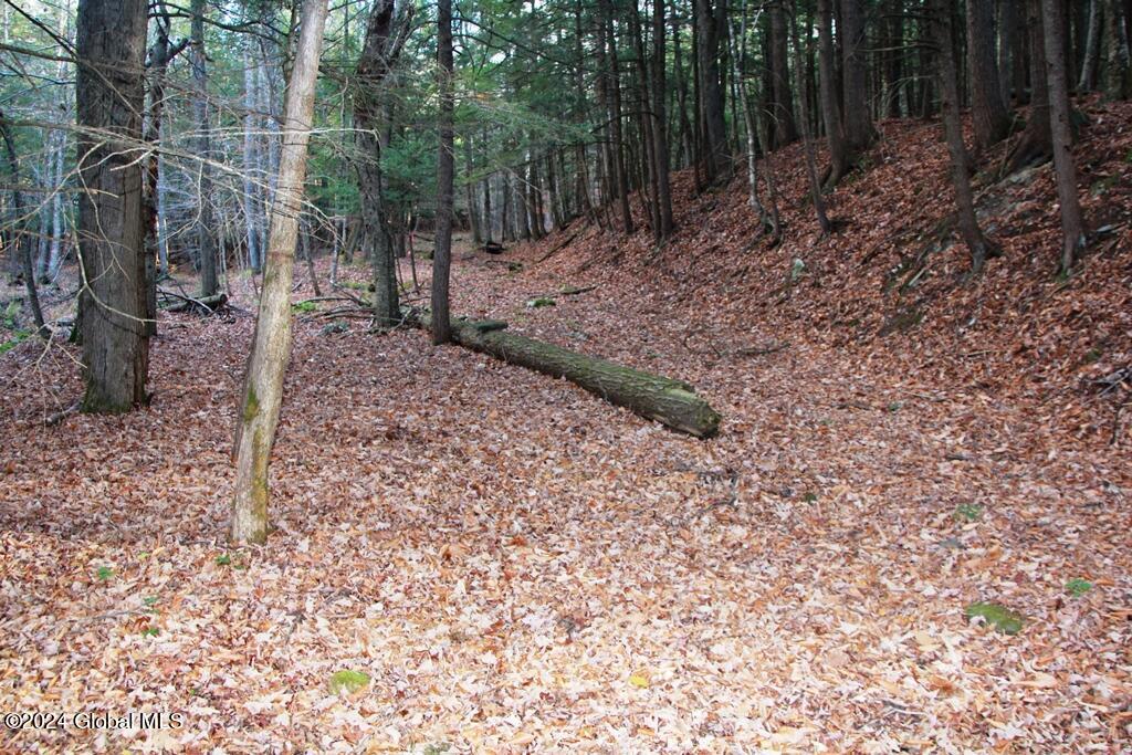L2 Lawton Hollow Road Berne NY 12023