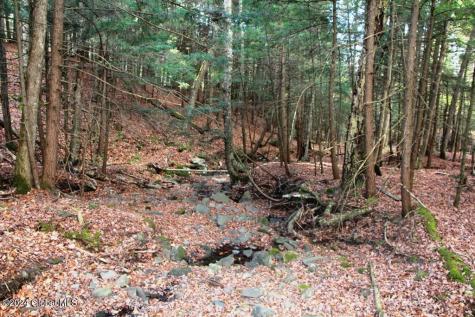 L2 Lawton Hollow Road Berne NY 12023