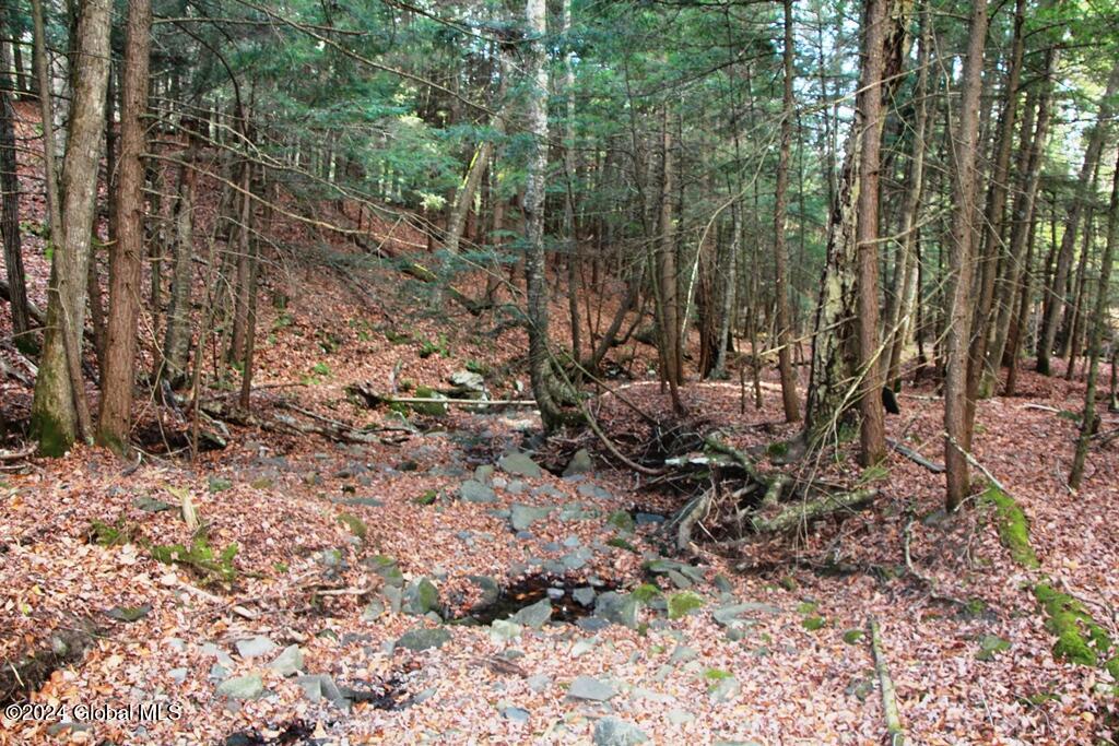 L2 Lawton Hollow Road Berne NY 12023