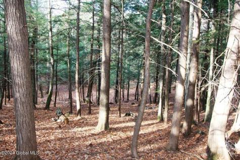 L2 Lawton Hollow Road Berne NY 12023