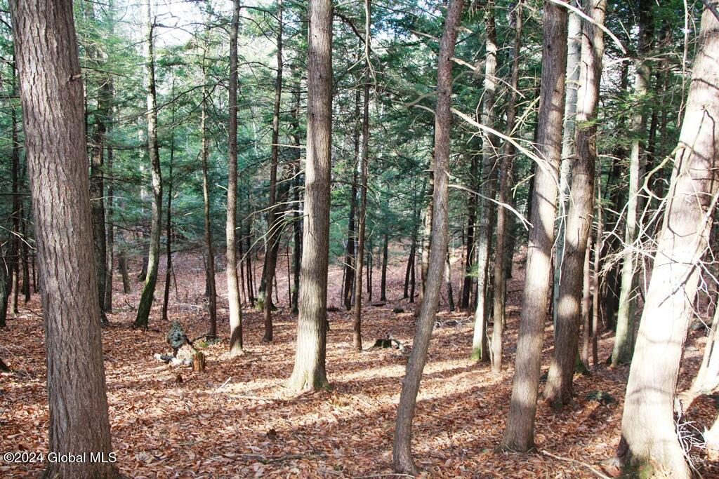 L2 Lawton Hollow Road Berne NY 12023