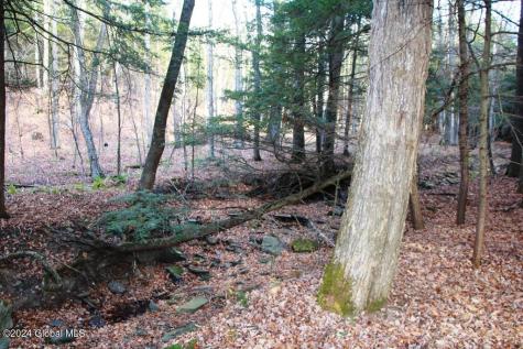 L2 Lawton Hollow Road Berne NY 12023