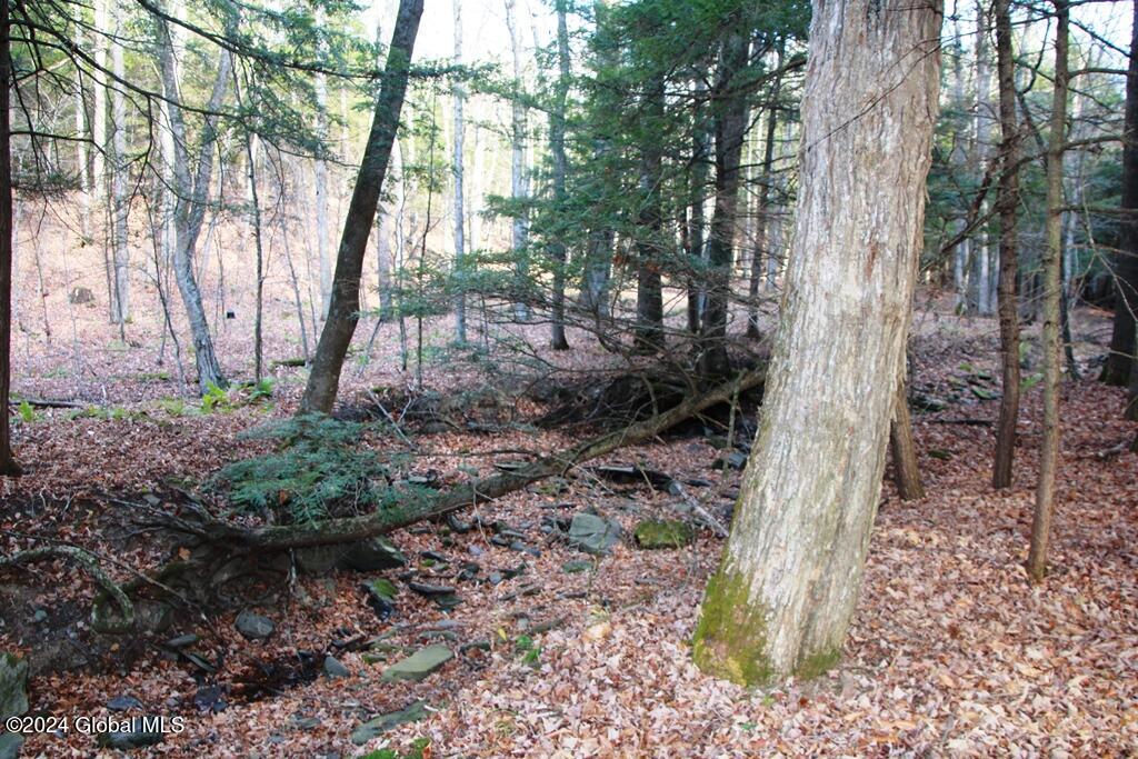 L2 Lawton Hollow Road Berne NY 12023