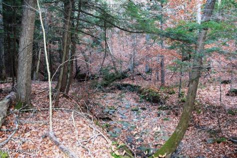 L2 Lawton Hollow Road Berne NY 12023