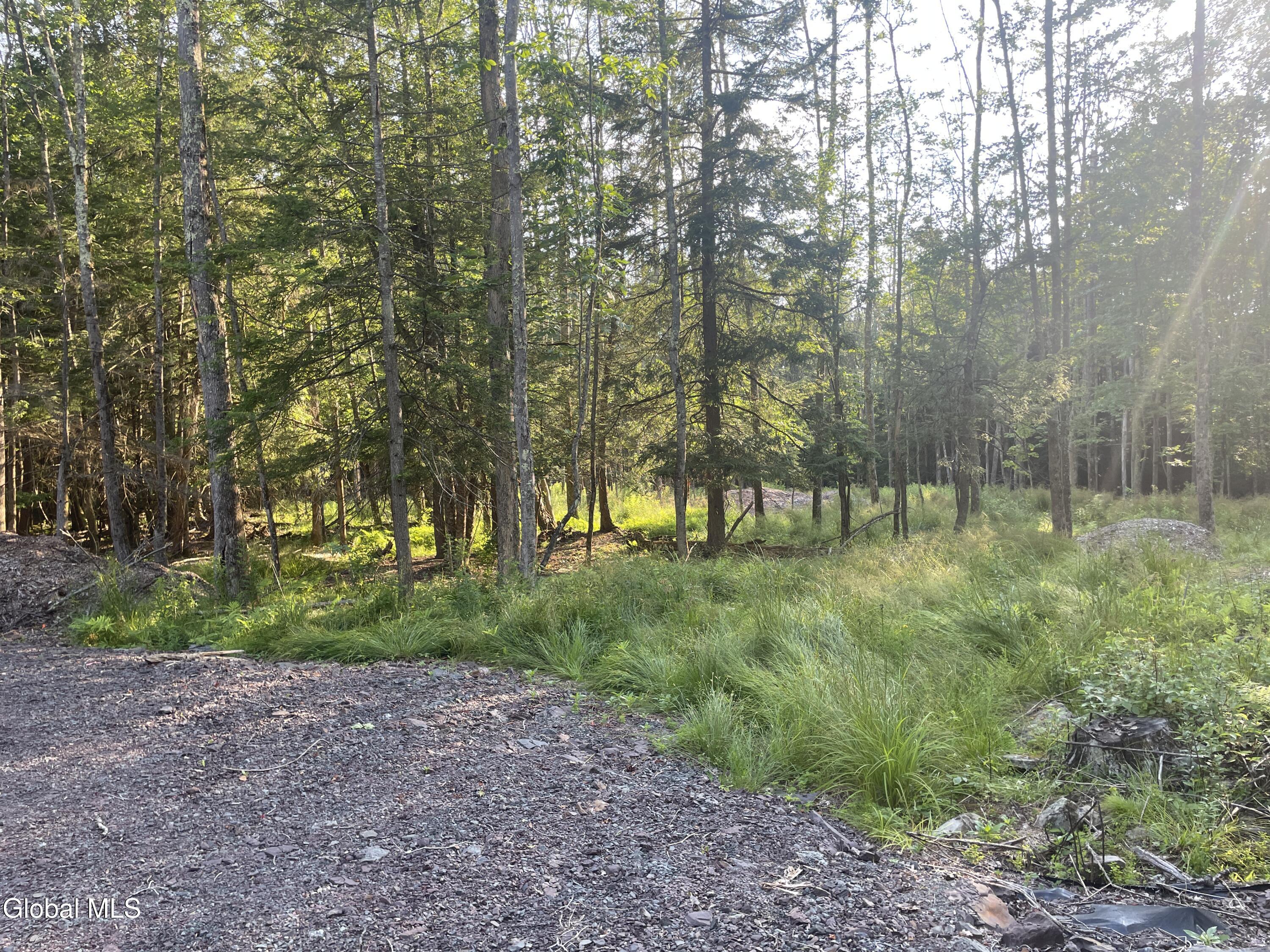 Tbd Boulder Brook Road Windham NY 12496