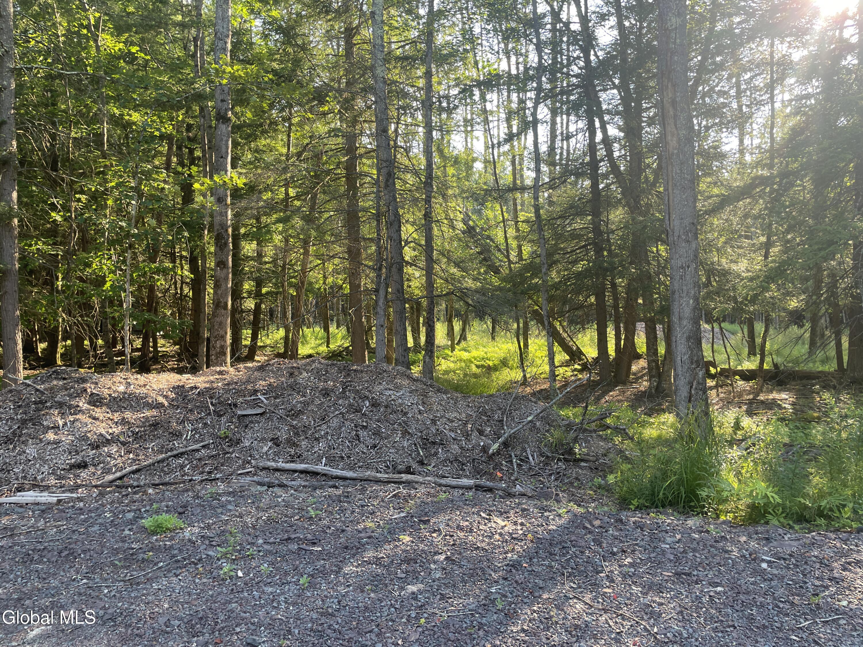 Tbd Boulder Brook Road Windham NY 12496