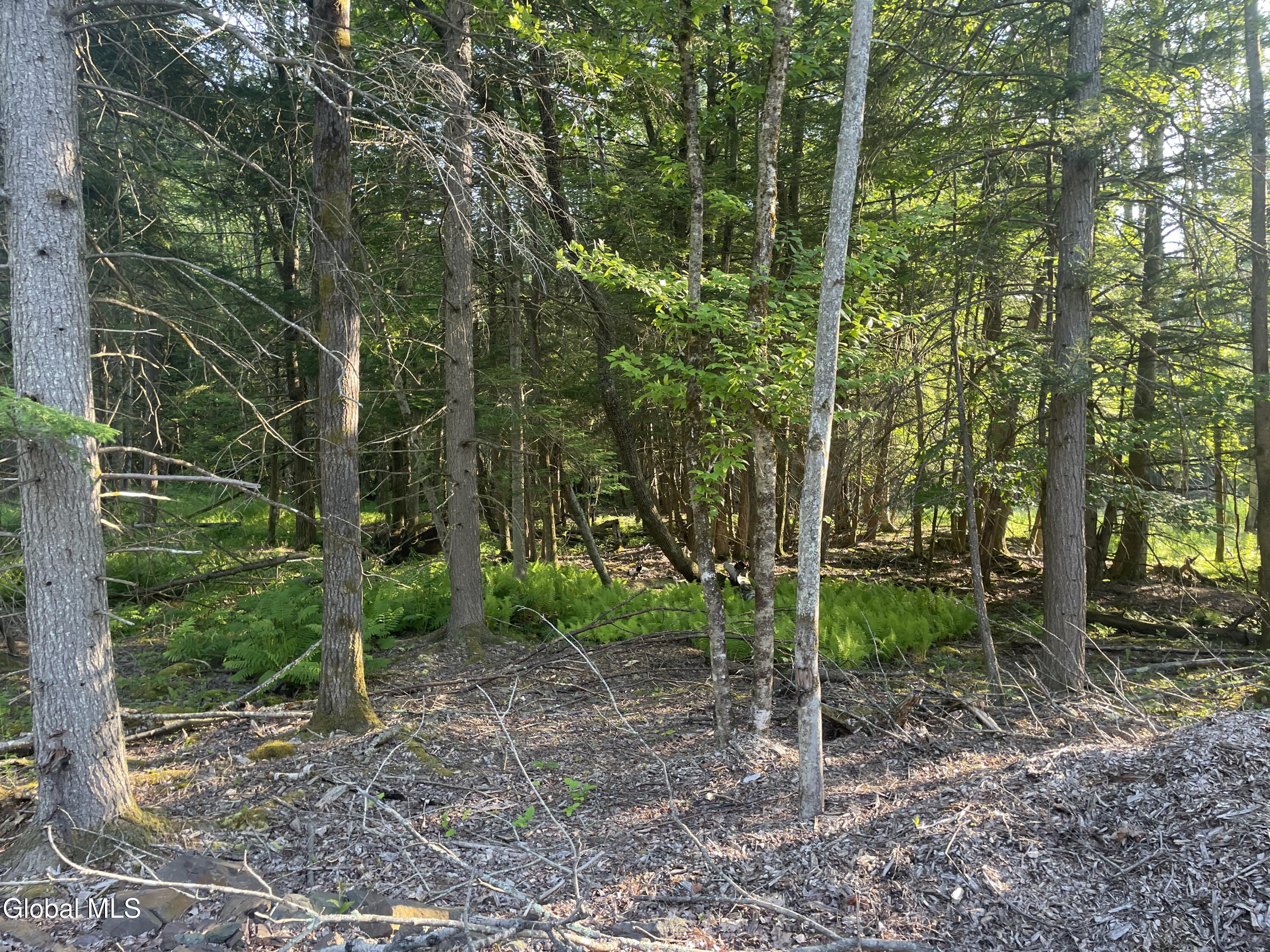 Tbd Boulder Brook Road Windham NY 12496