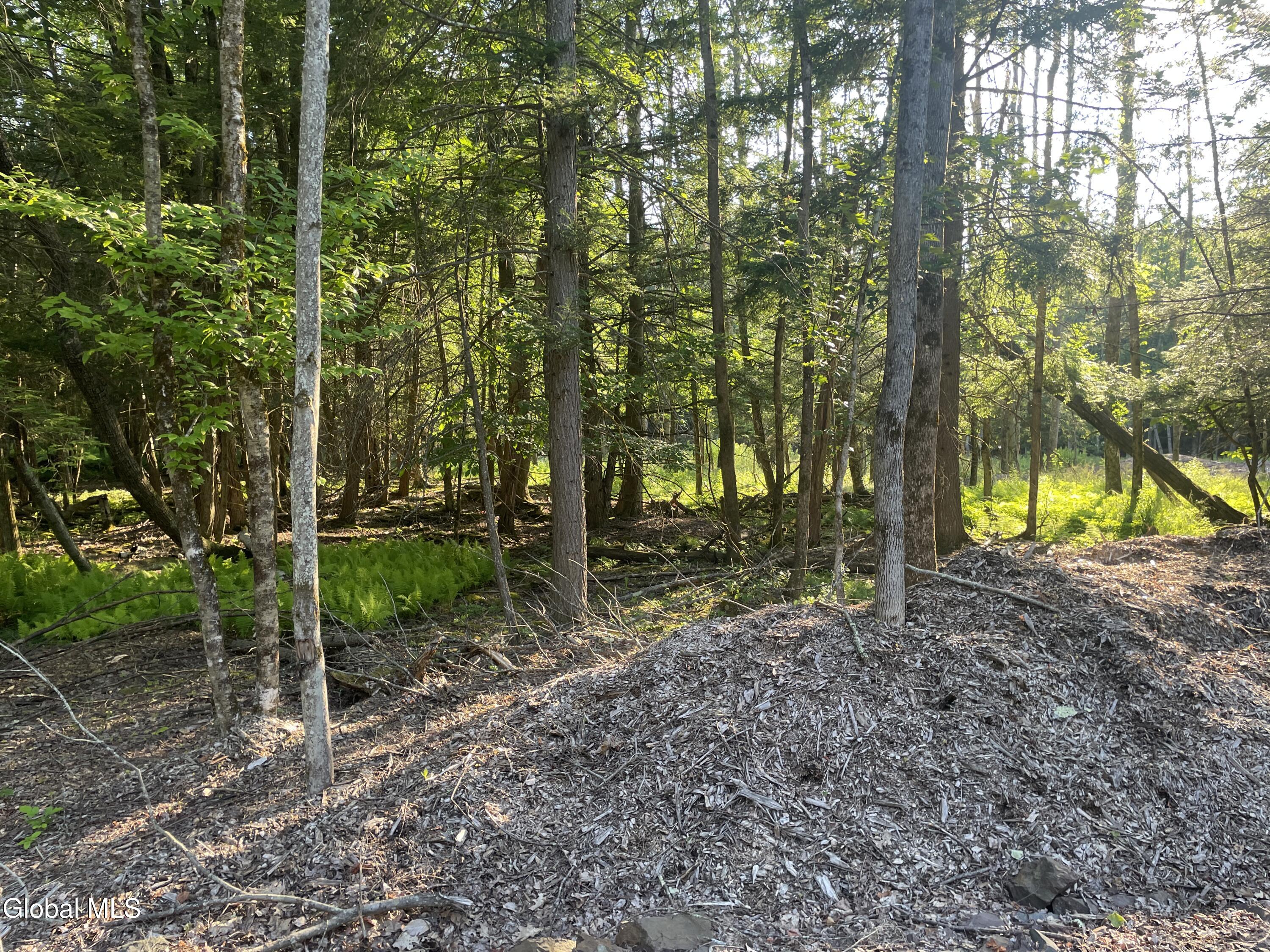 Tbd Boulder Brook Road Windham NY 12496