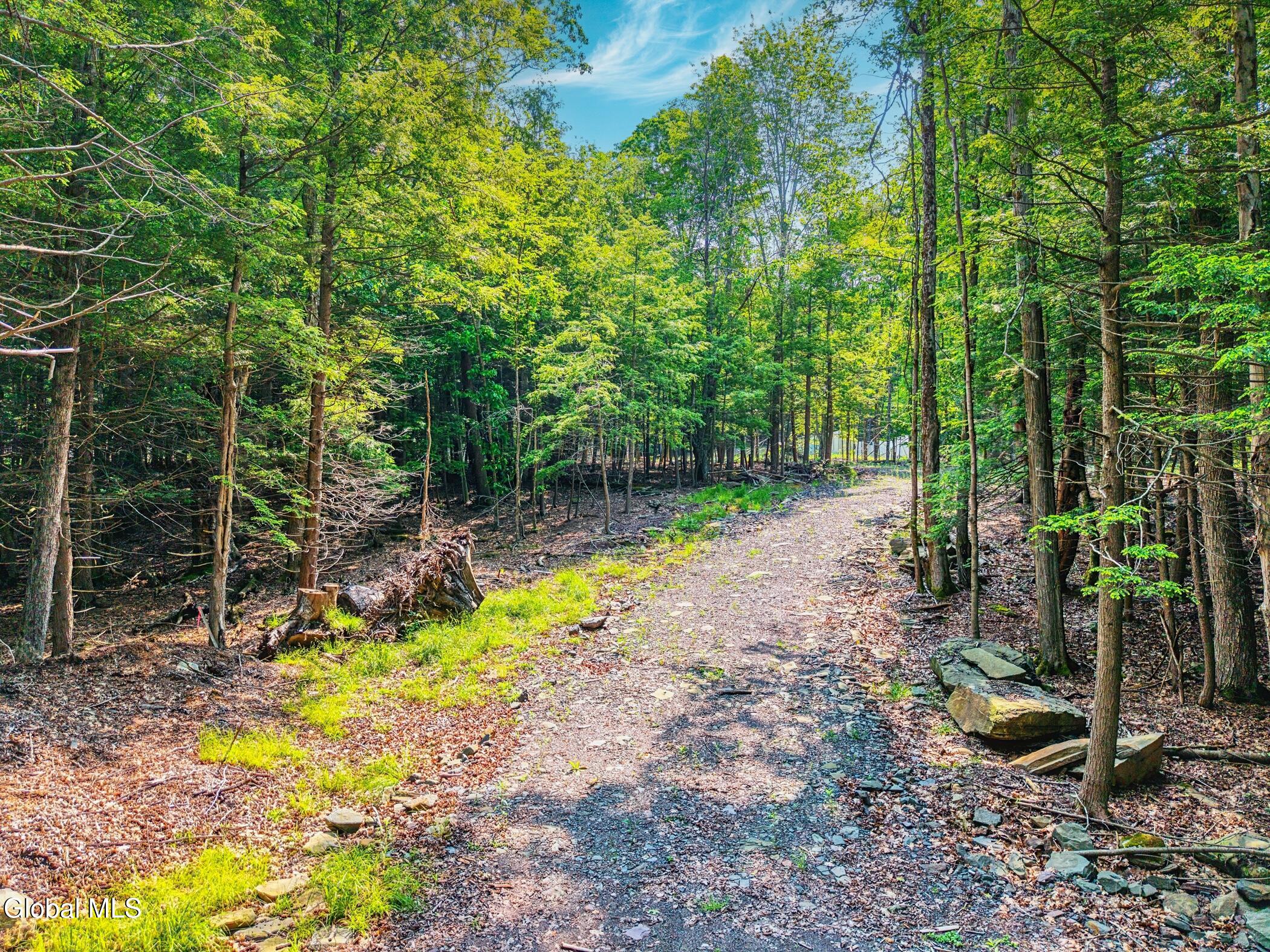 Tbd Boulder Brook Road Windham NY 12496