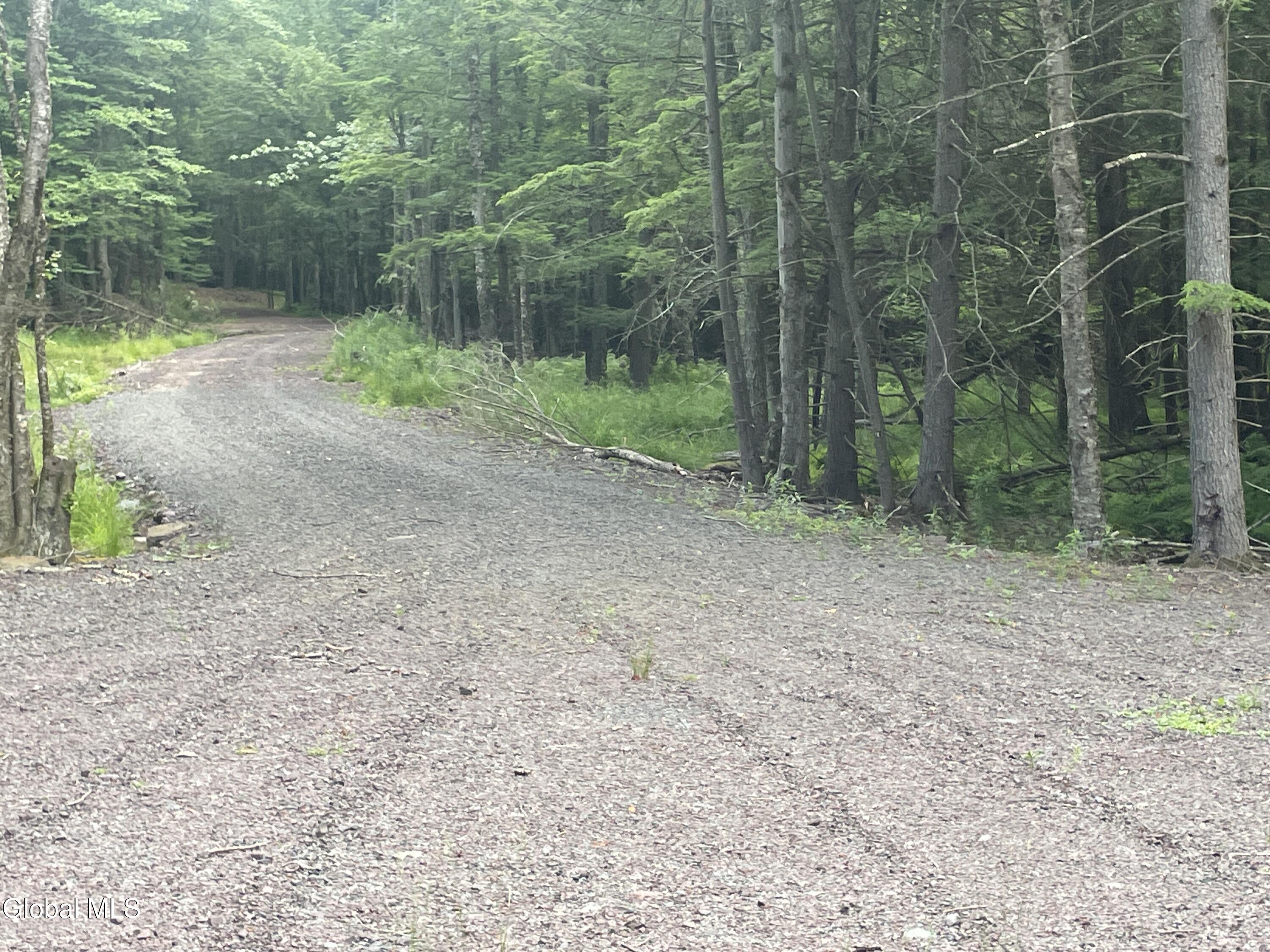 Tbd Boulder Brook Road Windham NY 12496